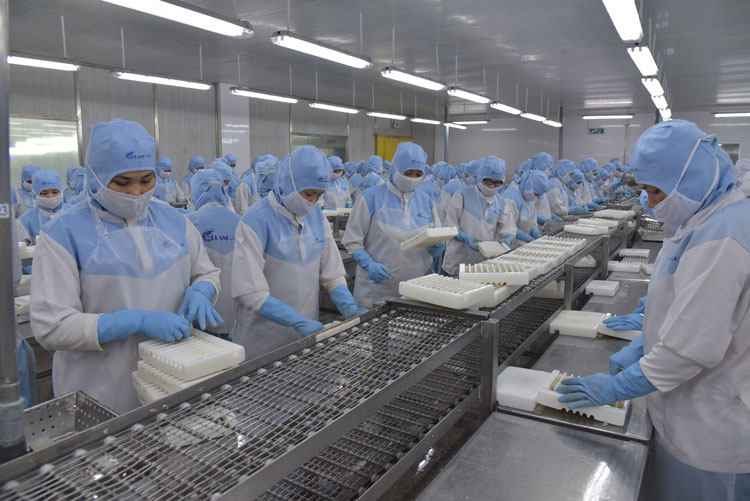 Xuất khẩu tôm tăng mạnh, cơ hội mở từ EFTA